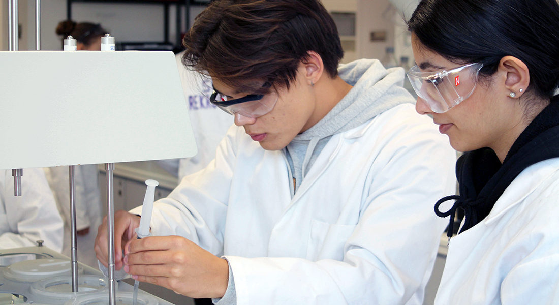 elever i studiepraktik