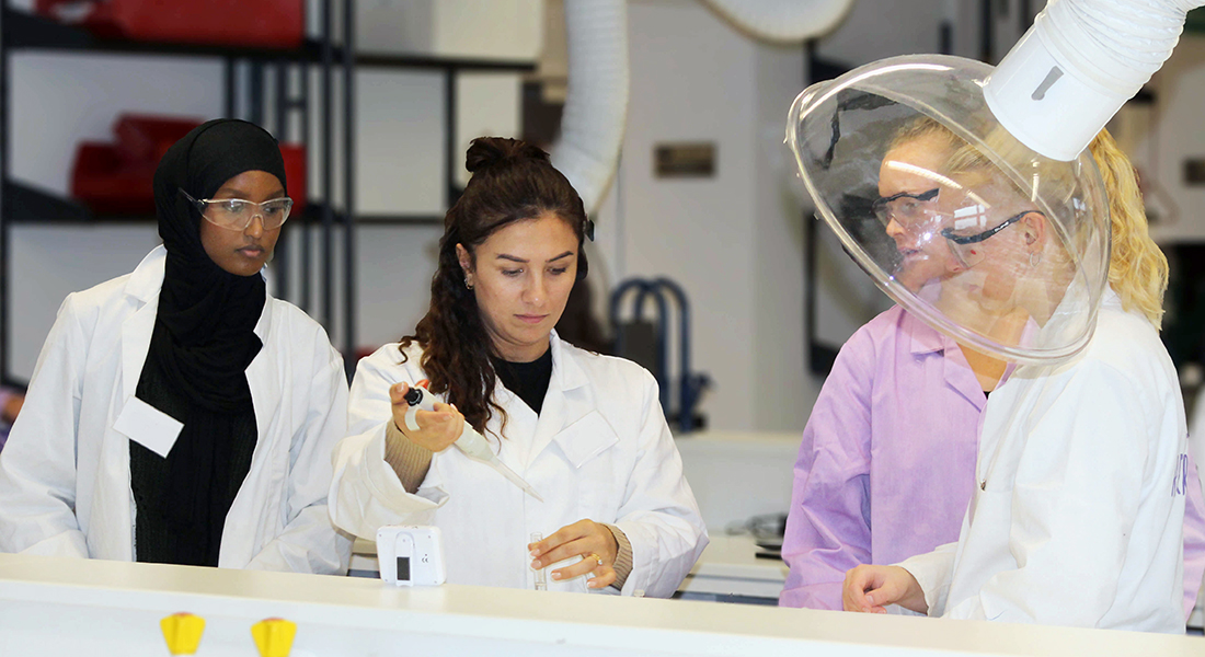 Studiepraktik med forsøg.